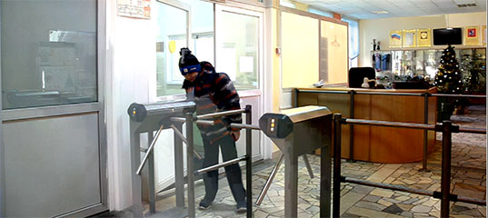 В России могут измениться требования безопасности к школам
