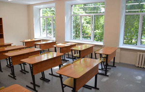 Уволенная учительница хочет создать центр полового просвещения в Петербурге