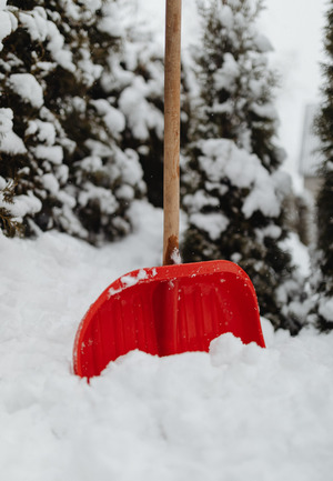 «Прекращайте издеваться»: чиновник вступился за педагогов, которых заставляют убирать снег